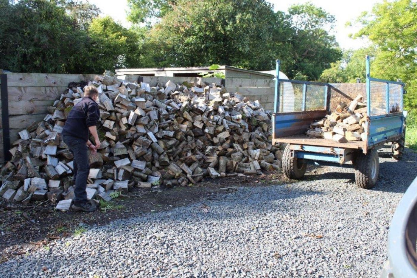 Securing This Winter s Firewood Supply