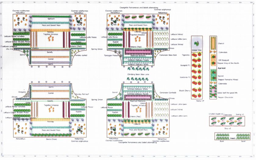 Planning the Kitchen Garden